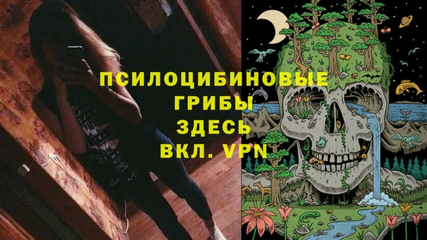 мдма Ельня