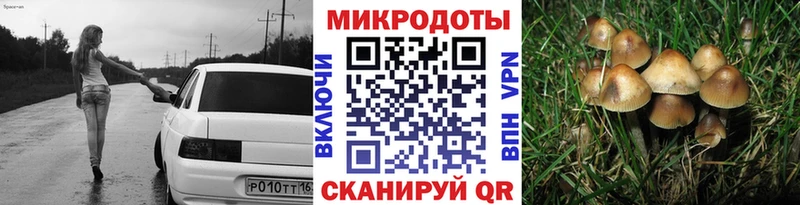 Купить закладки  Кондрово  Галлюциногенные грибы GOLDEN TEACHER 